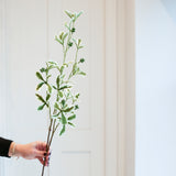 A stem of rich green Ficus leaves