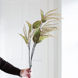 A stem of brown Amaranthus