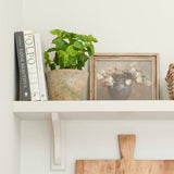 Artificial basil plant in a stone pot sitting on a bookshelf