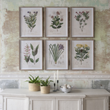 Country flowers Wall Art | Set of Six