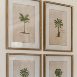 Tropical Wall Prints | Set of Four