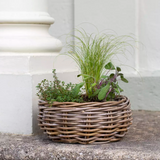 Indra Rattan Basket Planter