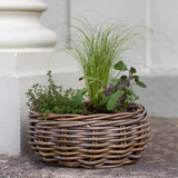 Indra Rattan Basket Planter