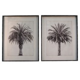 Palm Tree Prints | Set of Two