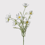 White Cosmos Flower Stem | Set of Three